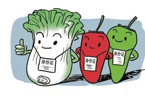 食品銷(xiāo)售中的溯源身份證 漲知識(shí)，一掃知身世
